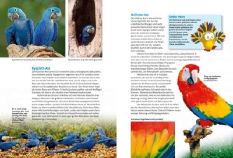 Preview: Entdecke die Papageien